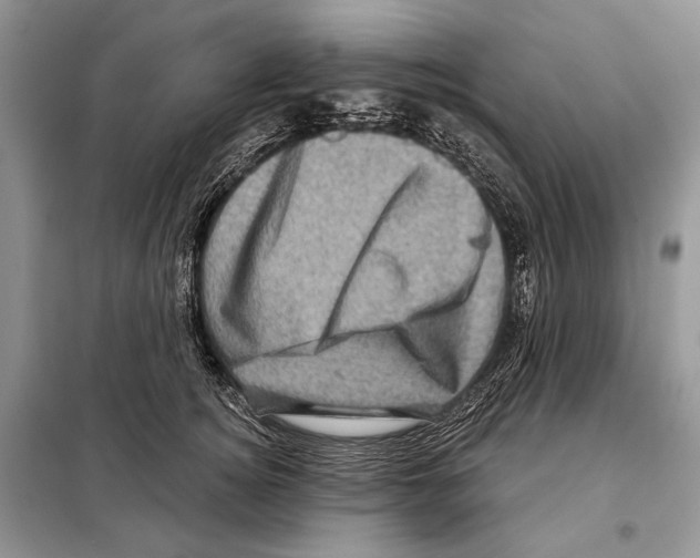 X0000098070756200805020958