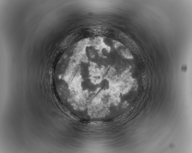 X0000098070757200805020958