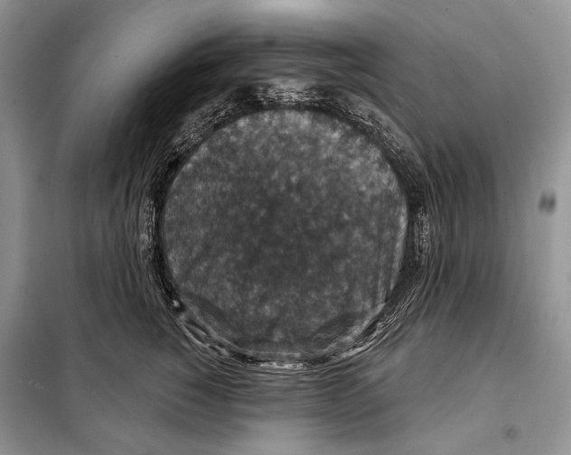 X0000098070760200805020958