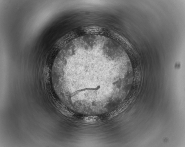 X0000098070761200805020958