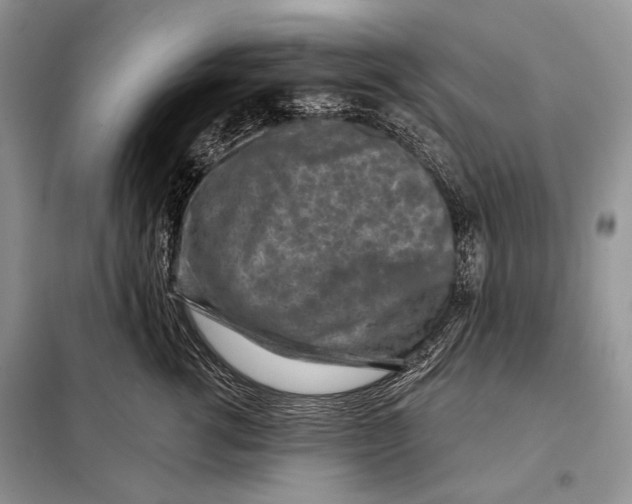 X0000098070762200805020958