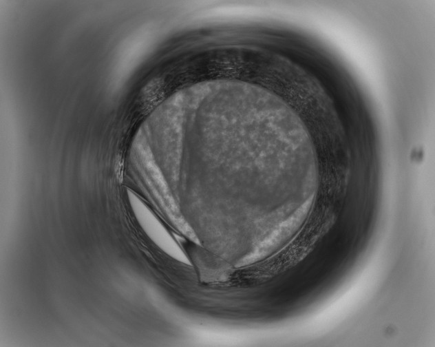 X0000098070766200805020958