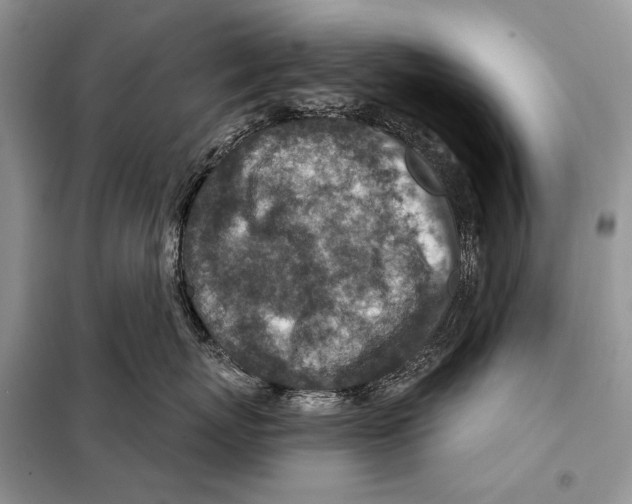 X0000098070767200805020958