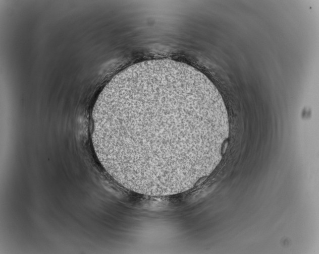 X0000098070768200805020958