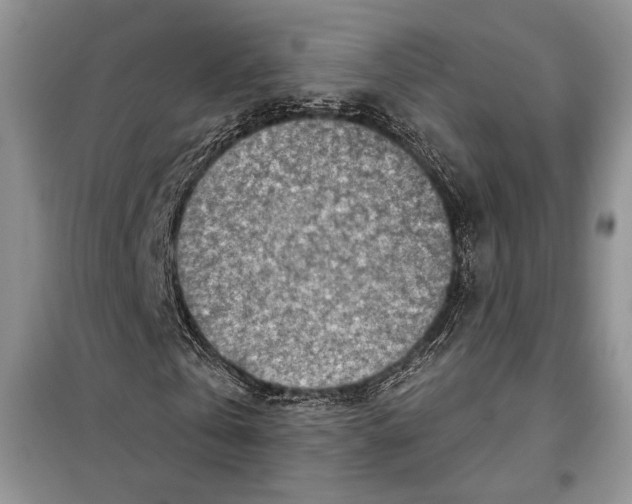 X0000098070769200805020957