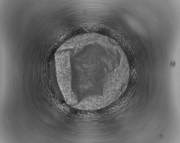 X0000098070772200805020957