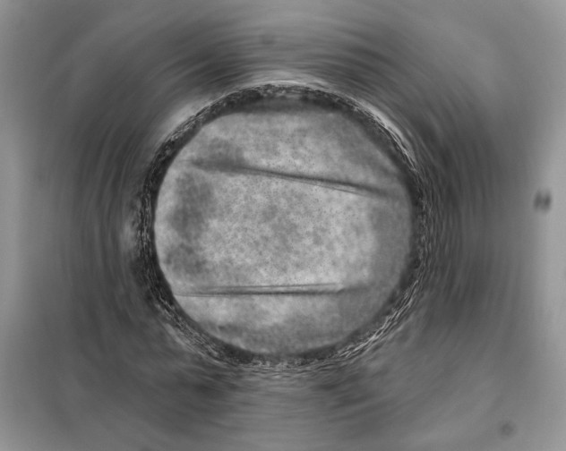 X0000098070775200805020957