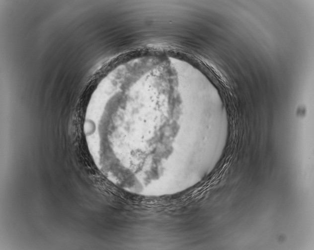 X0000098070776200805020957