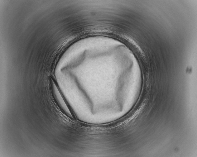 X0000098070777200805020957