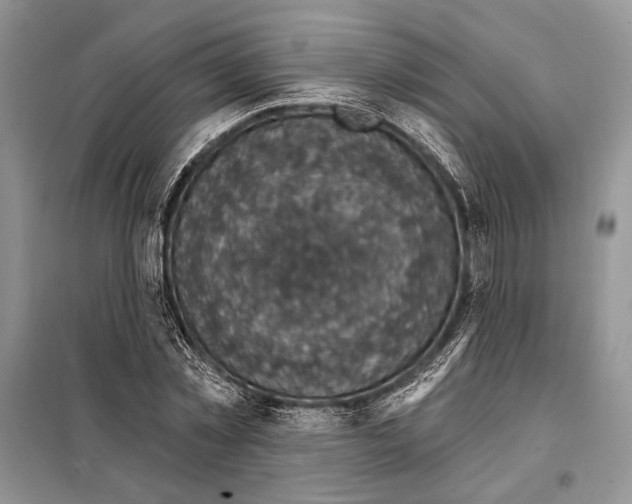 X0000098070781200805020957