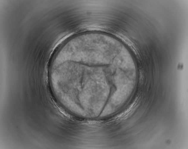 X0000098070782200805020957