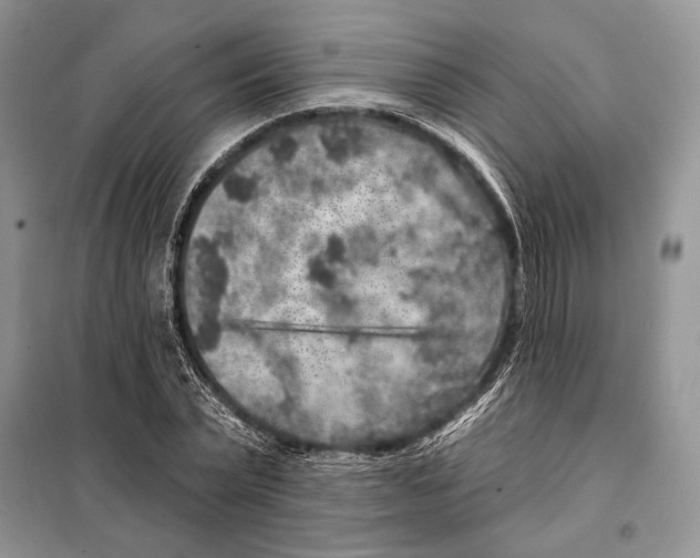 X0000098070783200805020957