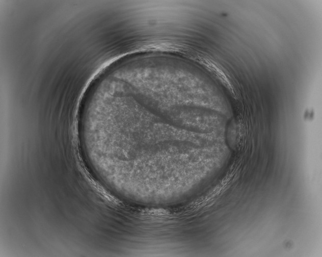 X0000098070784200805020957