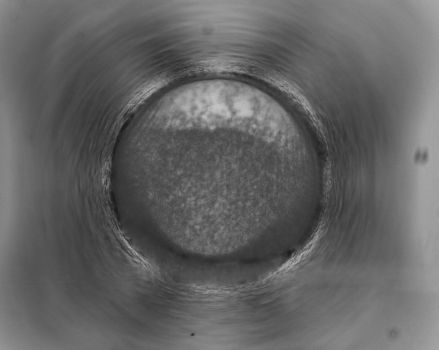 X0000098070785200805020957