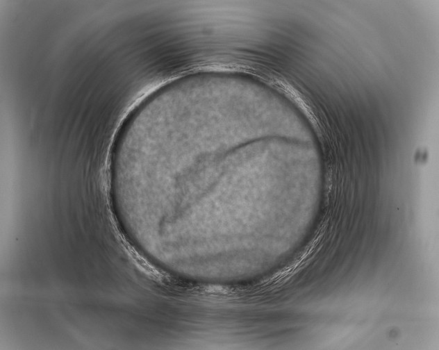 X0000098070787200805020957