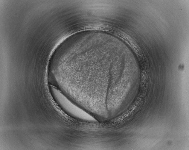 X0000098070788200805020957