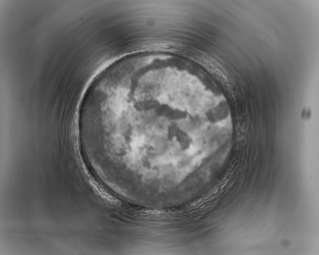 X0000098070792200805020957