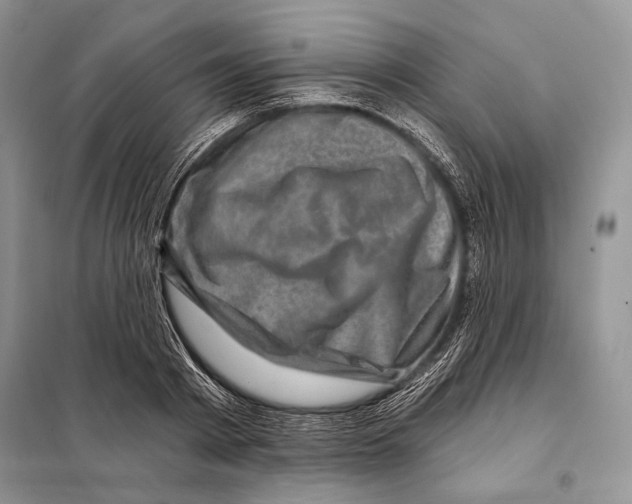 X0000098070793200805020957