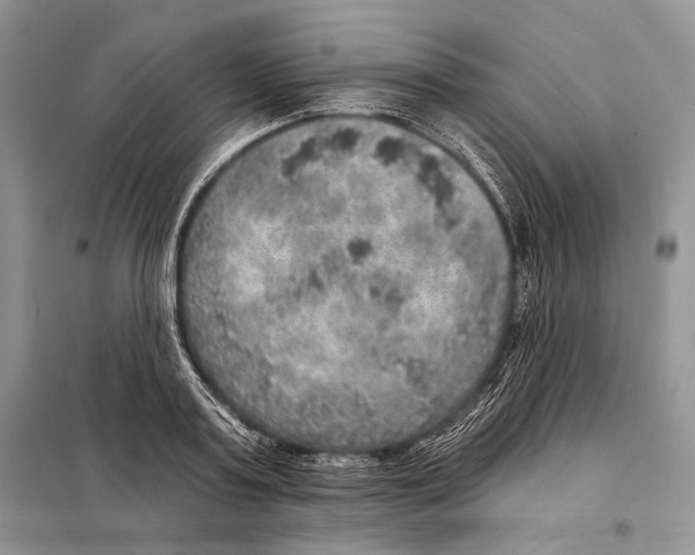 X0000098070795200805020957