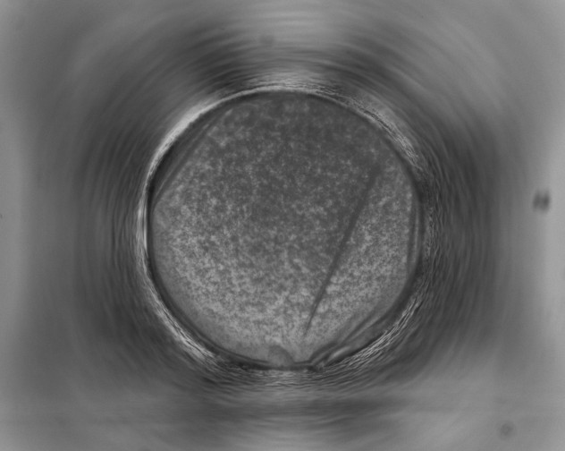 X0000098070796200805020957