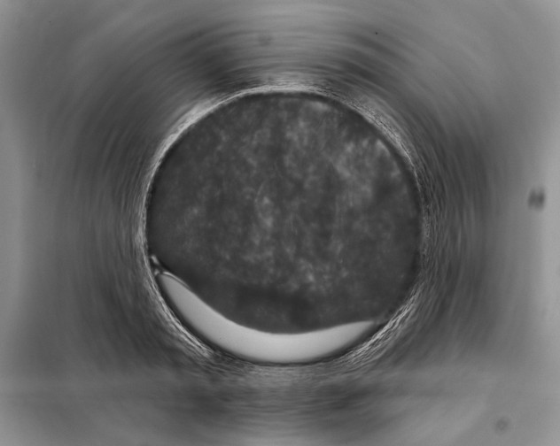 X0000098070797200805020957