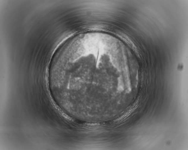 X0000098070798200805020956