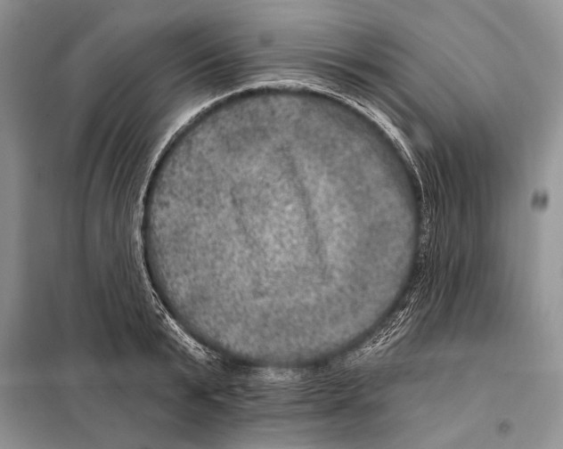 X0000098070799200805020956