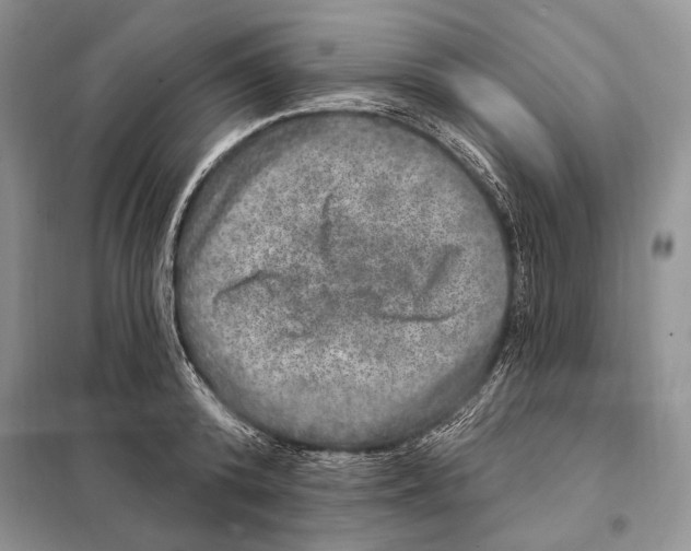 X0000098070800200805020956