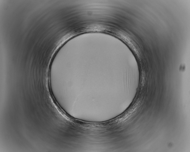 X0000098070802200805020956