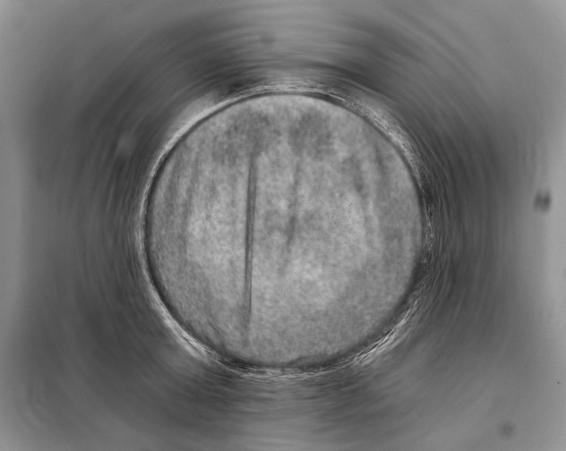 X0000098070803200805020956