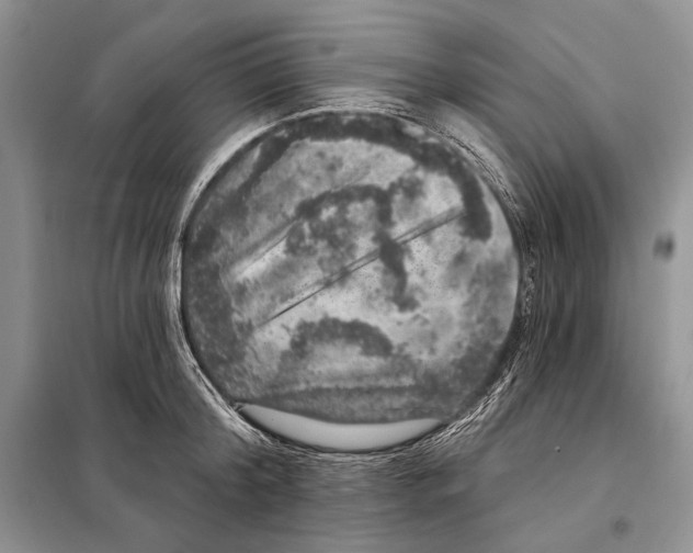 X0000098070804200805020956