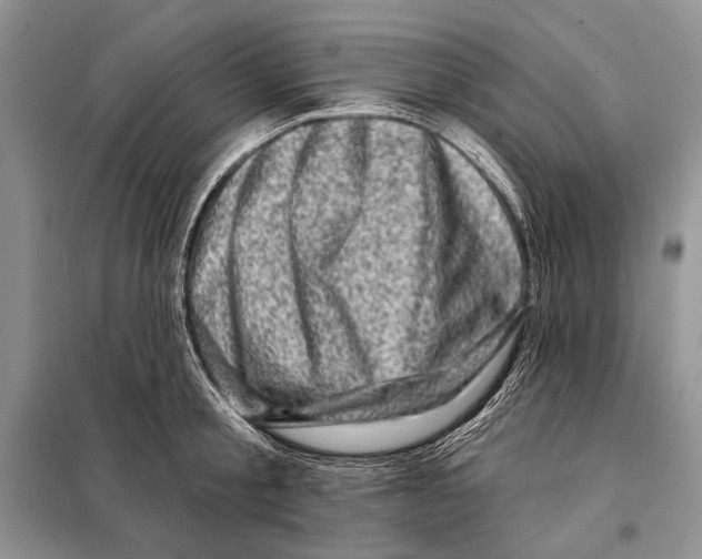 X0000098070805200805020956