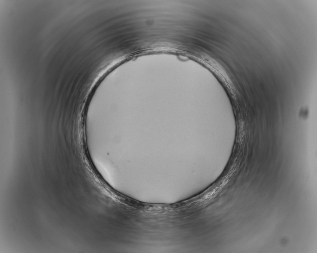 X0000098070806200805020956