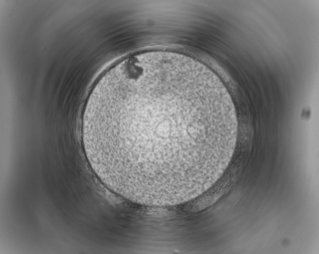 X0000098070807200805020956