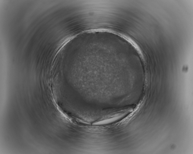 X0000098070809200805020956