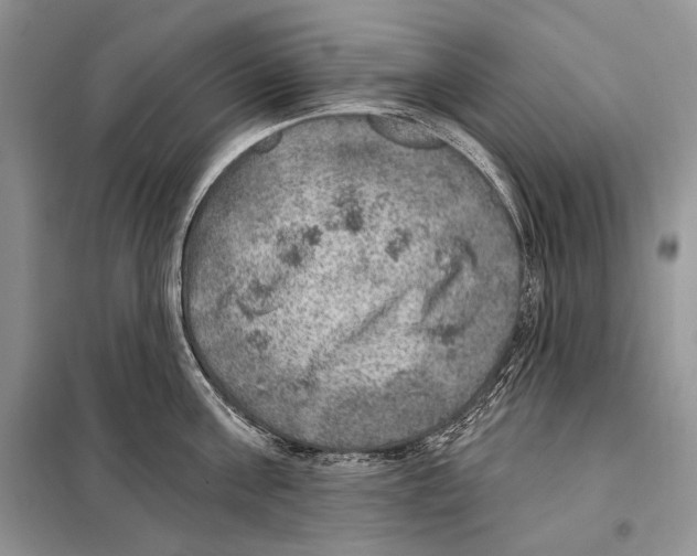 X0000098070811200805020956