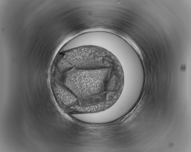 X0000098070813200805020956