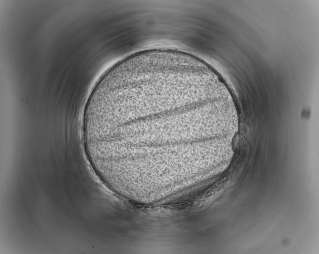 X0000098070815200805020956