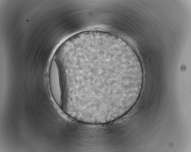 X0000098070816200805020956