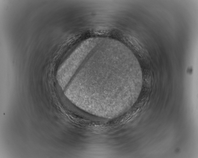 X0000098070817200805020955