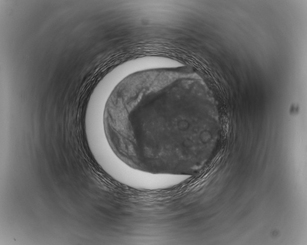 X0000098070818200805020955