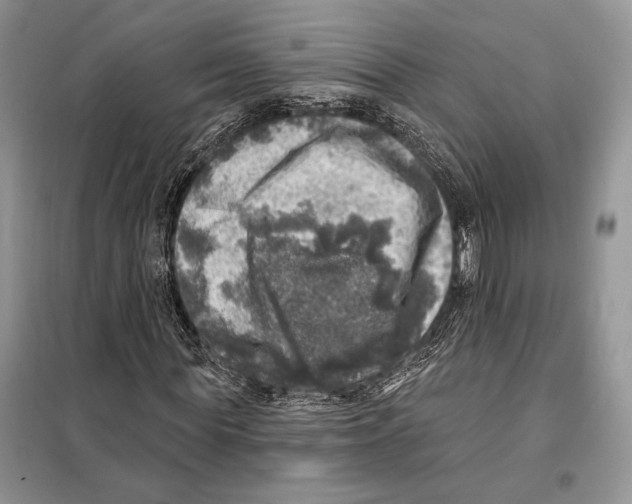 X0000098070819200805020955