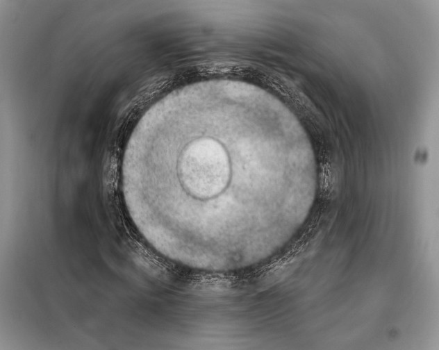 X0000098070820200805020955