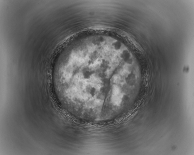 X0000098070821200805020955