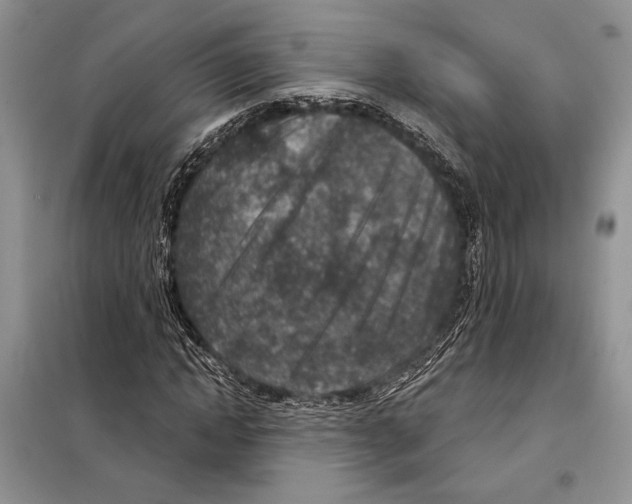 X0000098070822200805020955