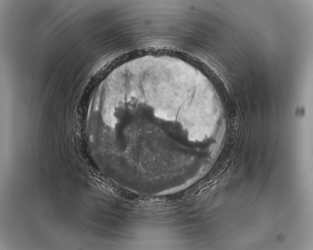 X0000098070823200805020955