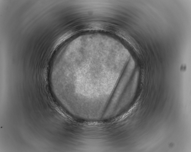 X0000098070826200805020955