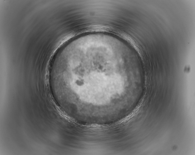 X0000098070827200805020955