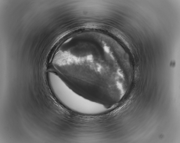 X0000098070829200805020955