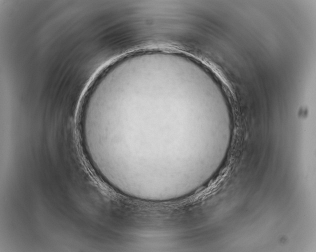 X0000098070832200805020955